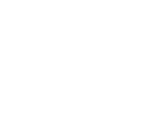 bezmezh logo.png